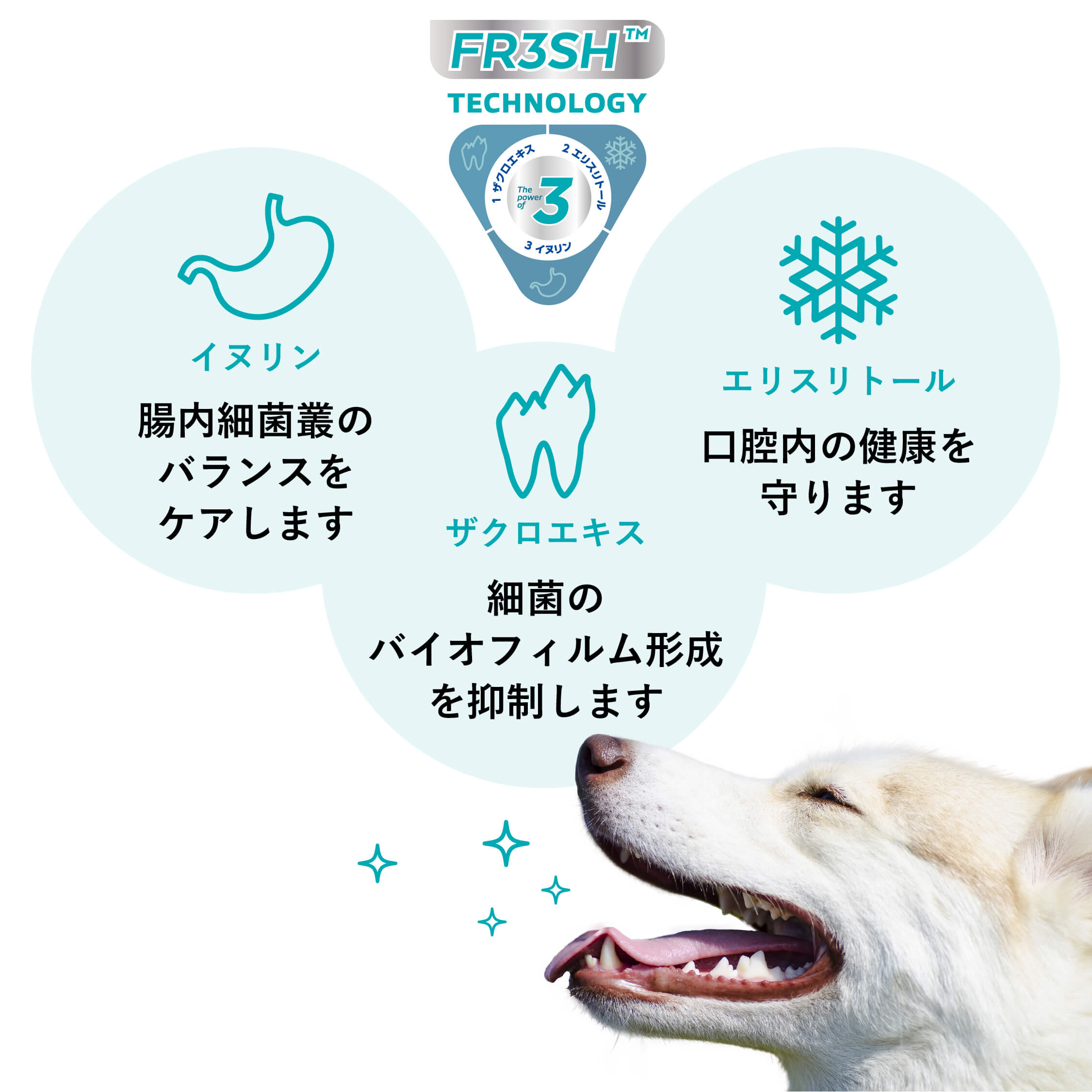 C.E.T.アクアデントフレッシュ