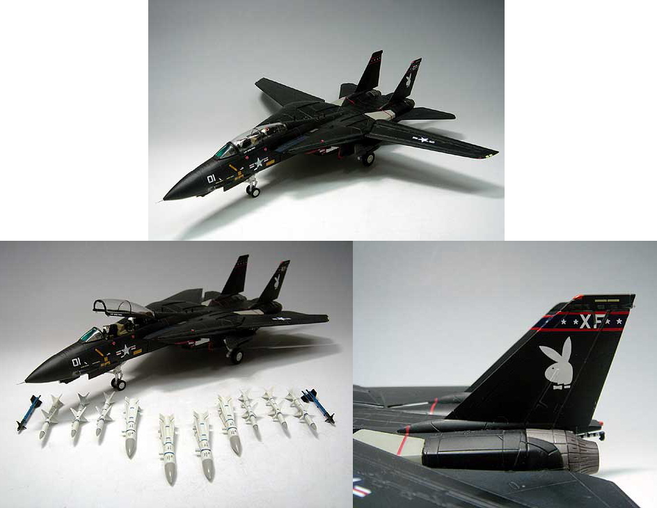 F-14A トムキャット VX-4 「バンディ1」 (ブラックバニー)☆イリサワ