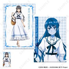 獅子王司 等身大タペストリー Dr.STONE 描き下ろし等身大タペストリー