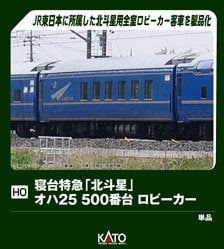 16番(HO) JR東日本 107系100番台 2次車 2輌Eセット 完成品 インテリア