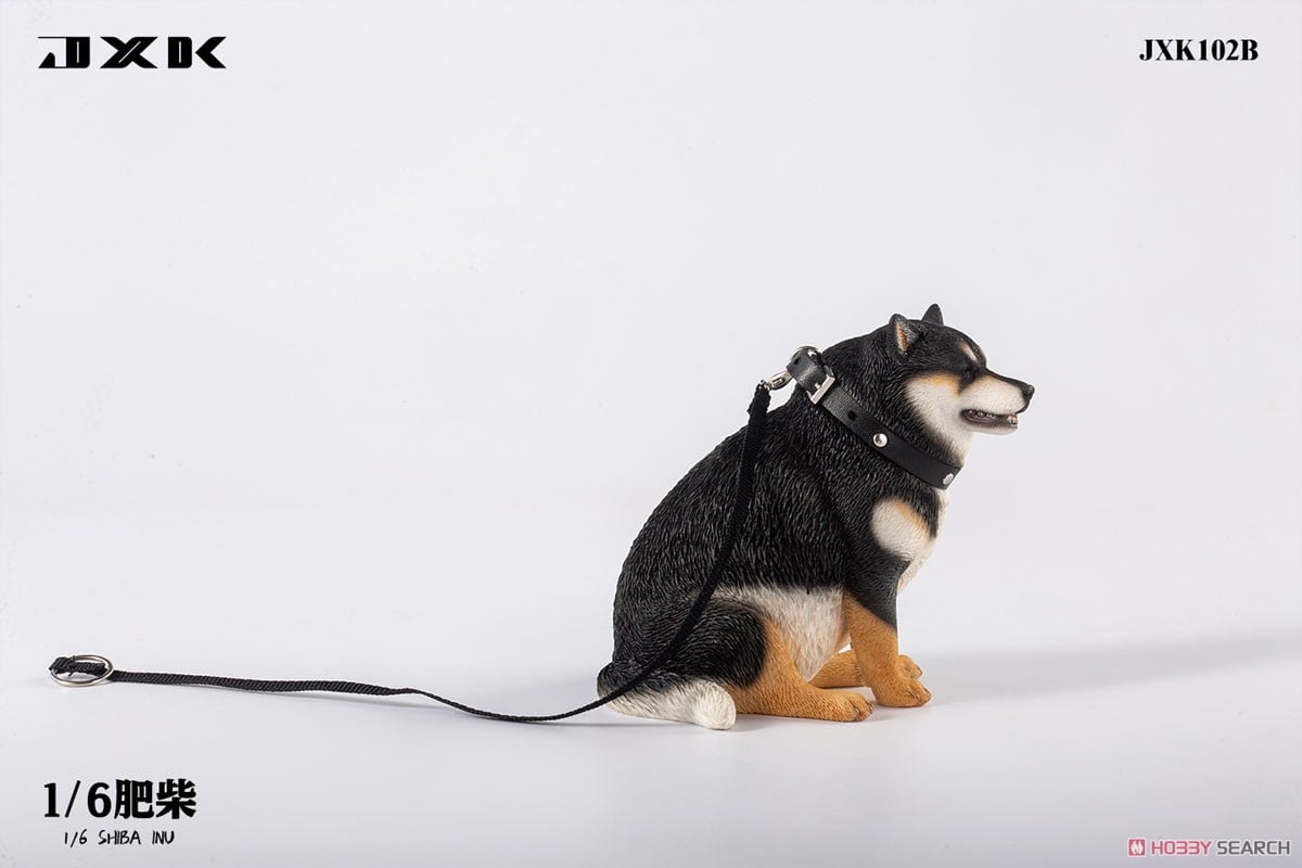 1/6 Fat Shiba Inu B (Fashion Doll) - HobbySearch Fashion Doll Store