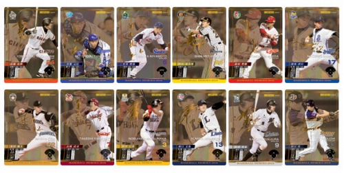 ベースボールヒーローズ 2014 SR 藤岡貴裕 BGS8.5点 ベースボール