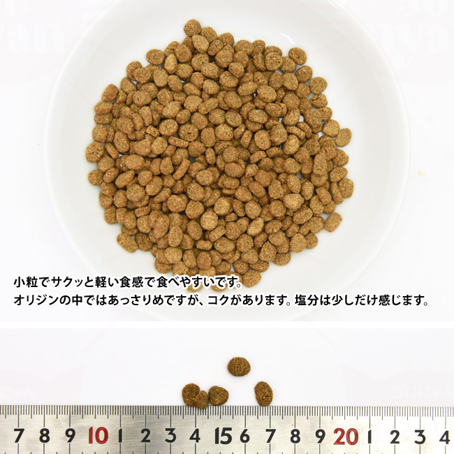 オリジン ガーディアン8 キャット 1.8kg (18916) ( オリジン ) - 猫