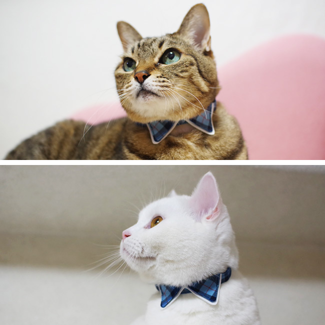 ゴロにゃんオリジナル ちょこえり猫首輪タータンチェック かわいい襟