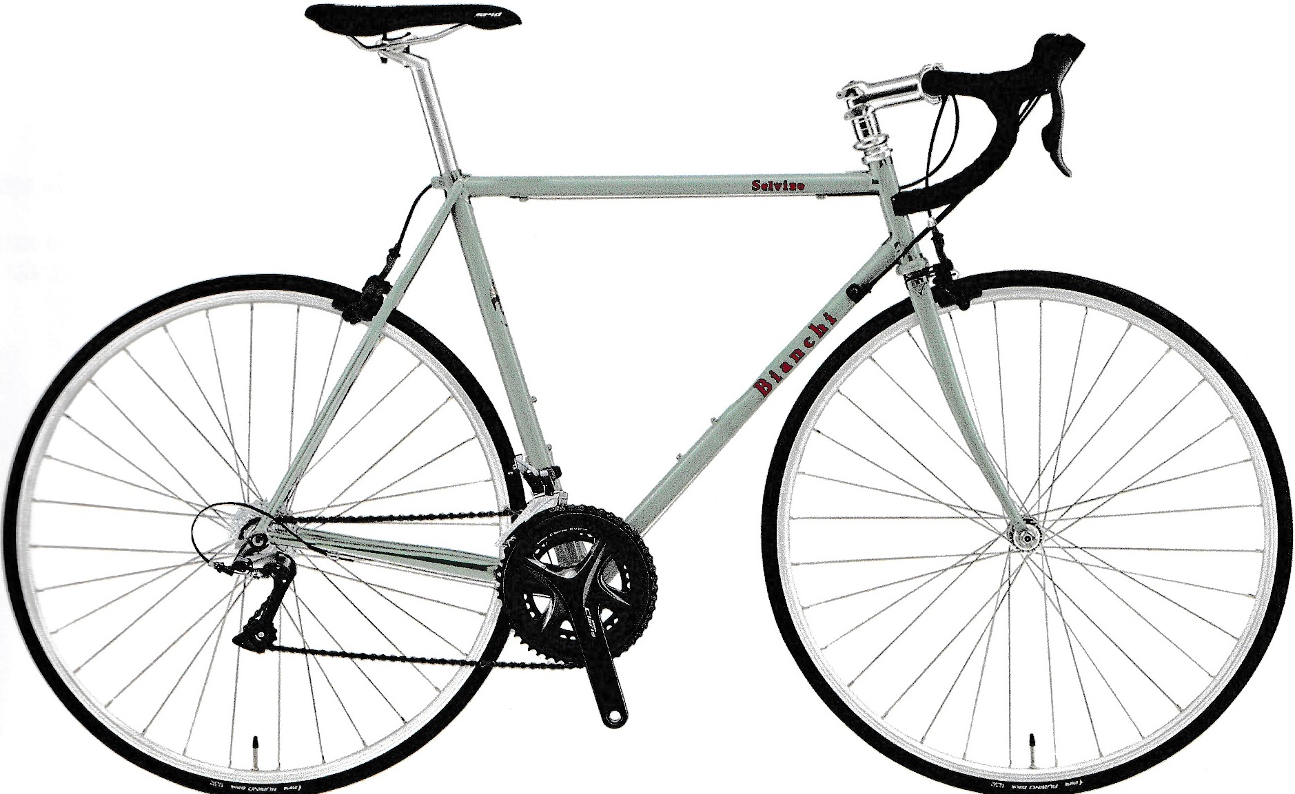 Bianchi (ビアンキ) SELVINO(セルヴィーノ) CLARIS 完成車 2020【完売
