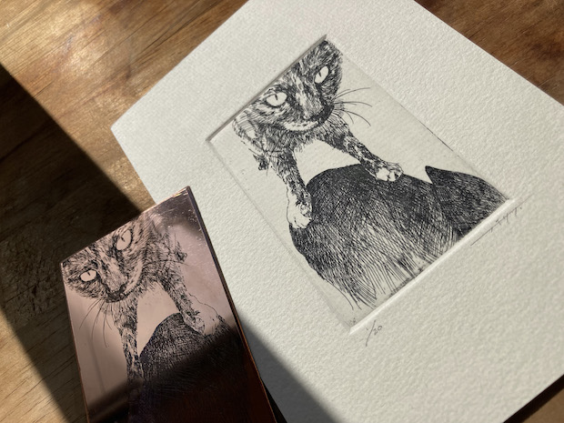 ちばしび工房 ― エッチング、はじめての銅版画体験 | 展覧会関連