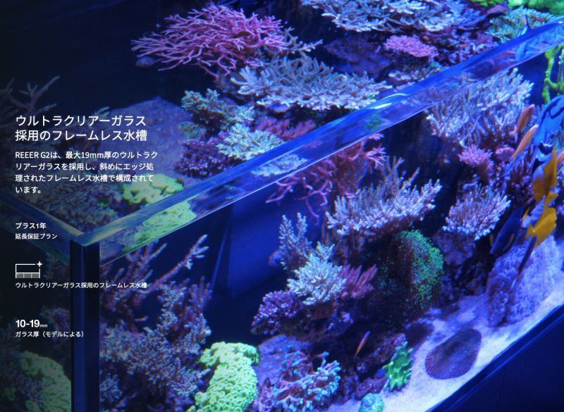 レッドシー REEFER 250 G2+ ブラックキャビネット - 海水魚専門店