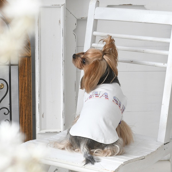 ANNA SUI（アナ スイ）ロゴTシャツ | 犬服・ドックウェアCalulu(カルル)