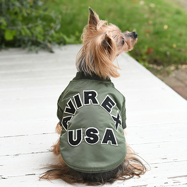 AVIREX（アヴィレックス）MA-1 ロゴ | 犬服・ドックウェアCalulu(カルル)