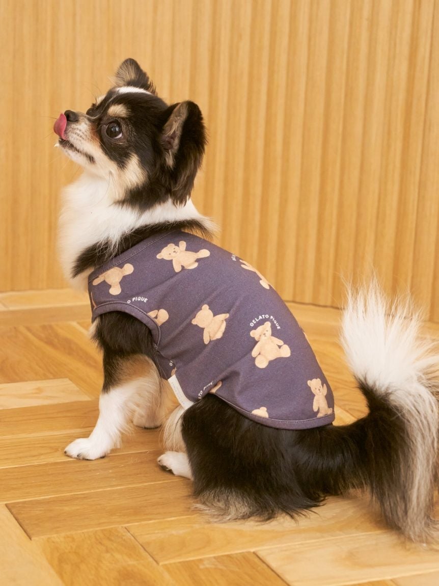 フィフィアンドロメオFifi&Romeo 　Sサイズ Fifi_Romeo_Size_Chart_2015_677