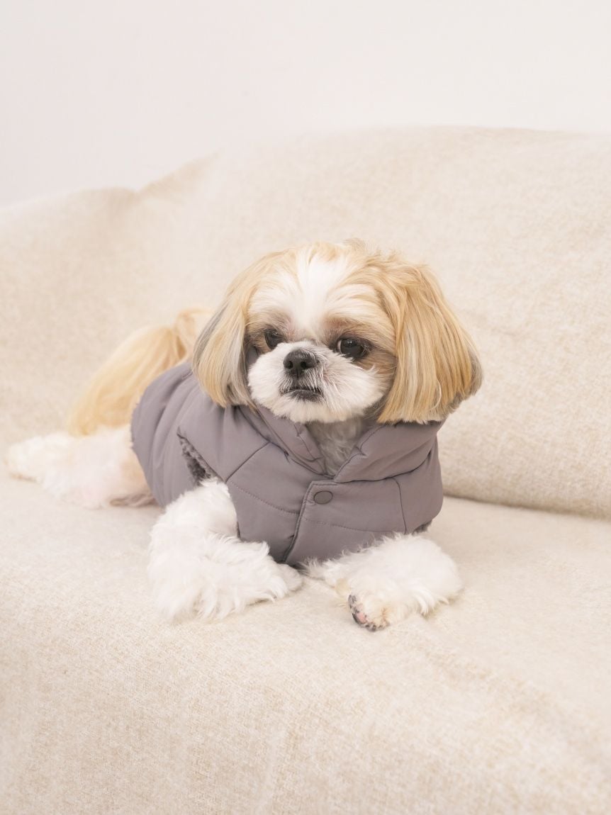 gelato pique（ジェラートピケ）【CAT&DOG】【販路限定商品】中綿