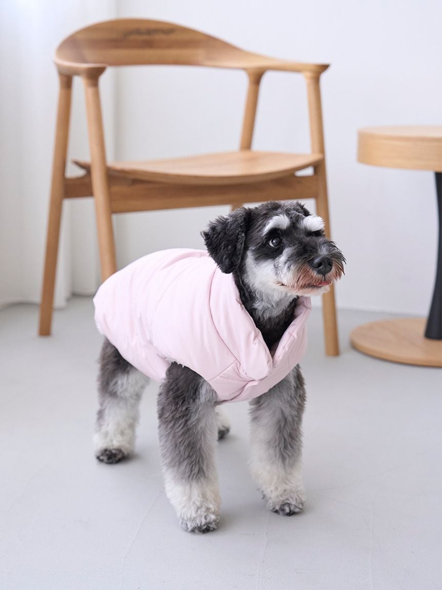 gelato pique（ジェラートピケ）【CAT&DOG】【販路限定商品】中綿