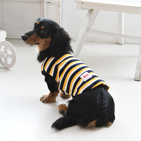 EDWIN（エドウイン）ドッグシャツ 3色ボーダー｜全2色 | 犬服・ドック