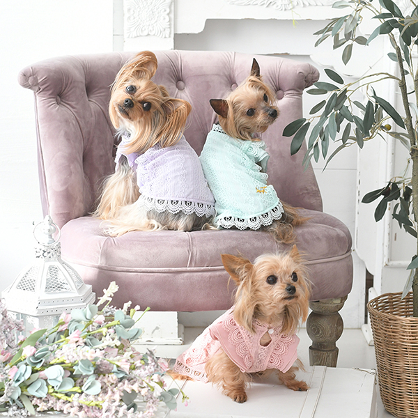 パピー・超小型犬用】ROPE PICNIC（ロペピクニック）レースワンピース