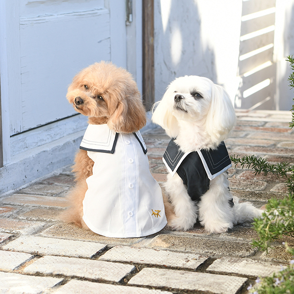 パピー・超小型犬用】ROPE PICNIC（ロペピクニック）セーラーカラー