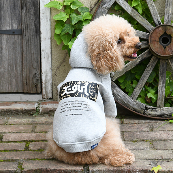 2025秋冬 X-girl（エックスガール）レオパード柄ロゴフーディー | 犬服