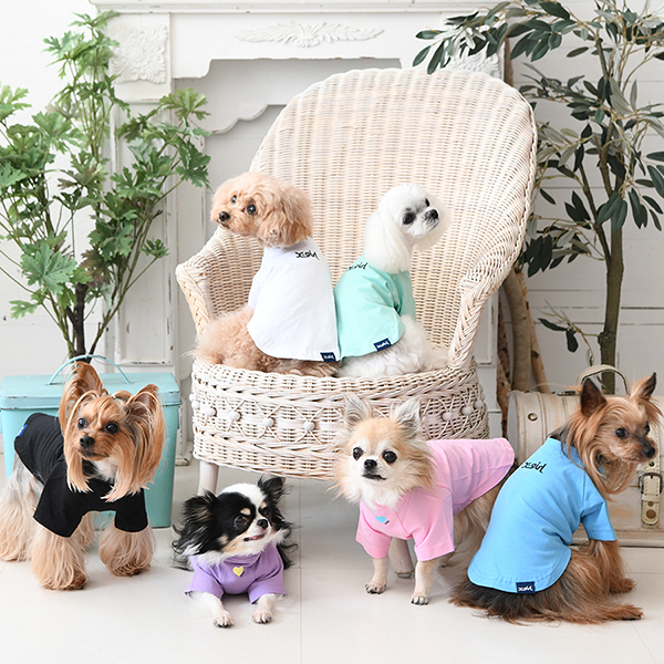 X-girl（エックスガール）ドッグシャツ｜全6色 | 犬服・ドックウェア