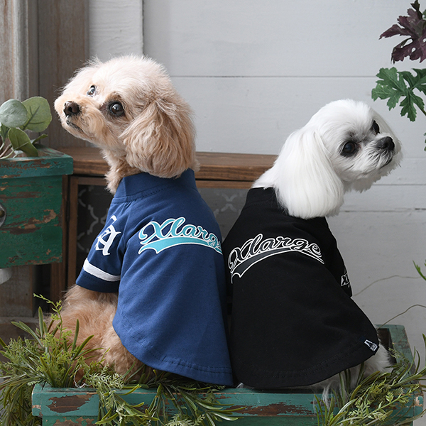 XLARGE（エクストララージ）ベースボールシャツ | 犬服・ドックウェア