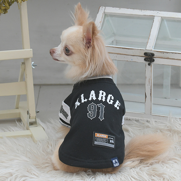 2025秋冬 XLARGE（エクストララージ）ロゴプルオーバー | 犬服・ドック