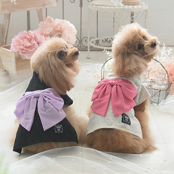 彩り豊かな夏を楽しむ、浴衣コレクション！