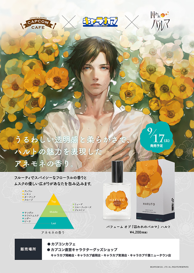 囚われのパルマ A3ポスター アオイ 6枚セット - メルカリ 囚われの