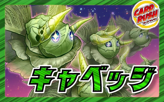 デュエルマスターズ 緑単グランセクト 緑単キャベツ 緑単キャベッジ 緑