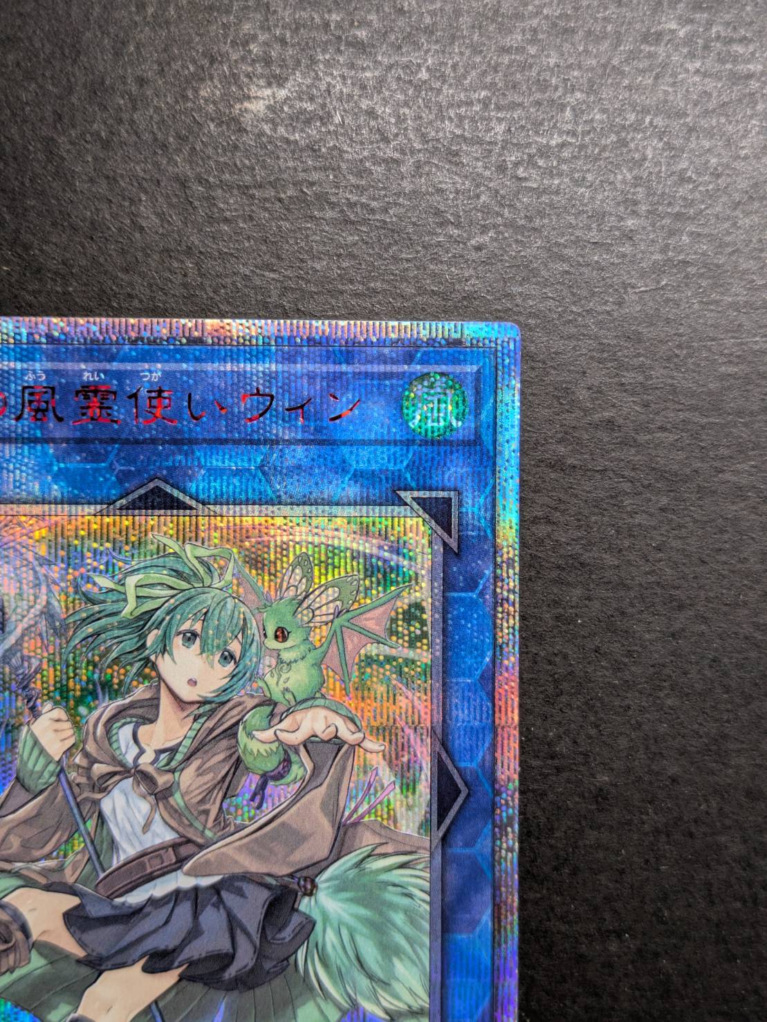 訳アリ 遊戯王 蒼翠の風霊使いウィン スターライトレア フランス語