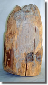 紫香楽宮を探る/甲賀市