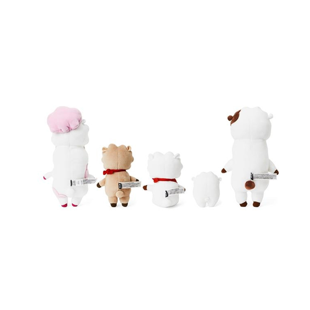 BT21 UNIVERSE RJ