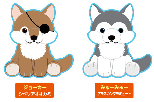 ≪9月の新商品≫もふっとオオカミミステリアス-NEW ITEM！｜アミューズ最新