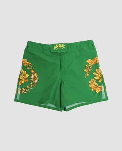27circus fight shorts of AMNJX