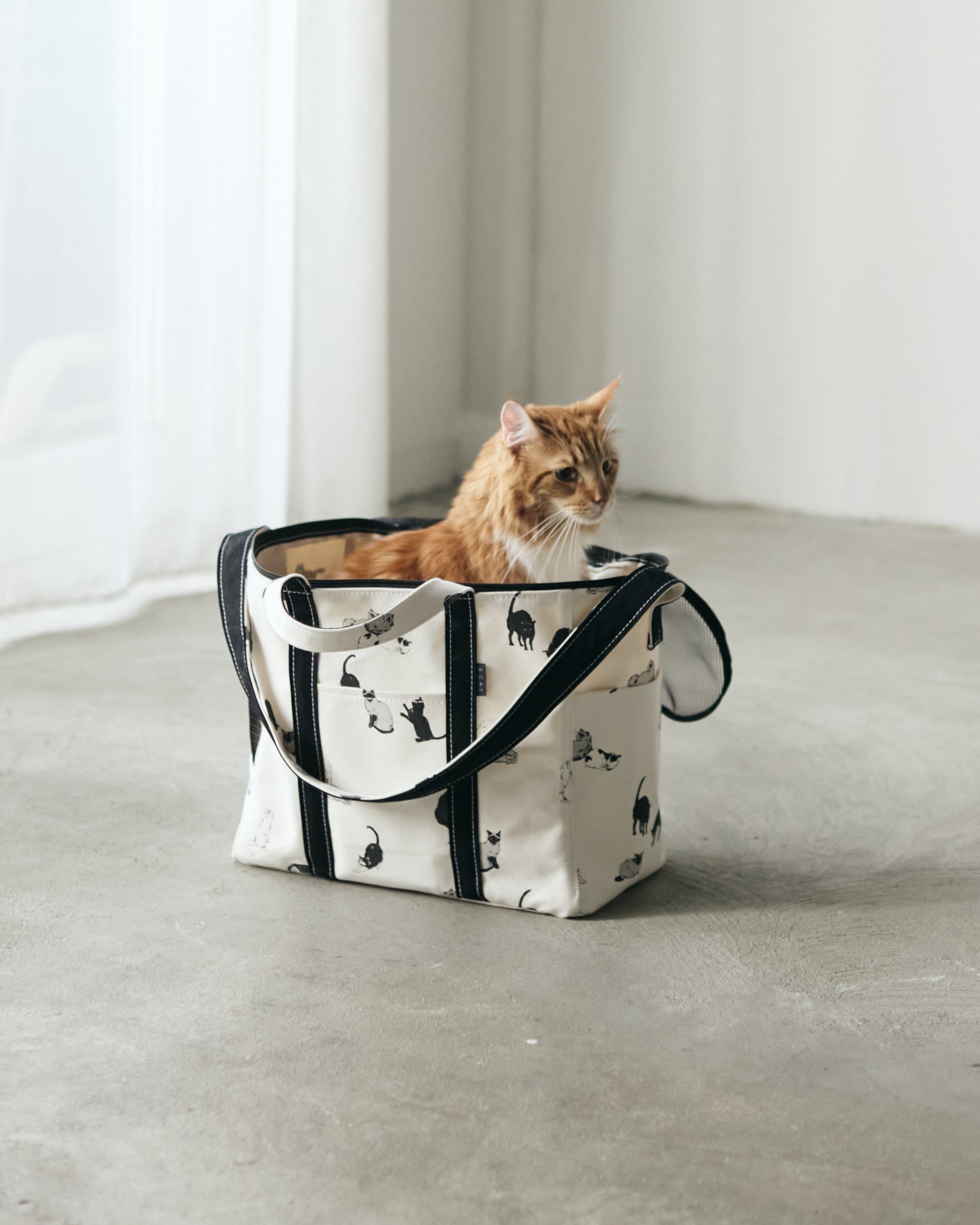 CARRY TOTE BAG ｜ TEMBEA × &CATの猫用キャリーバッグ。通院や