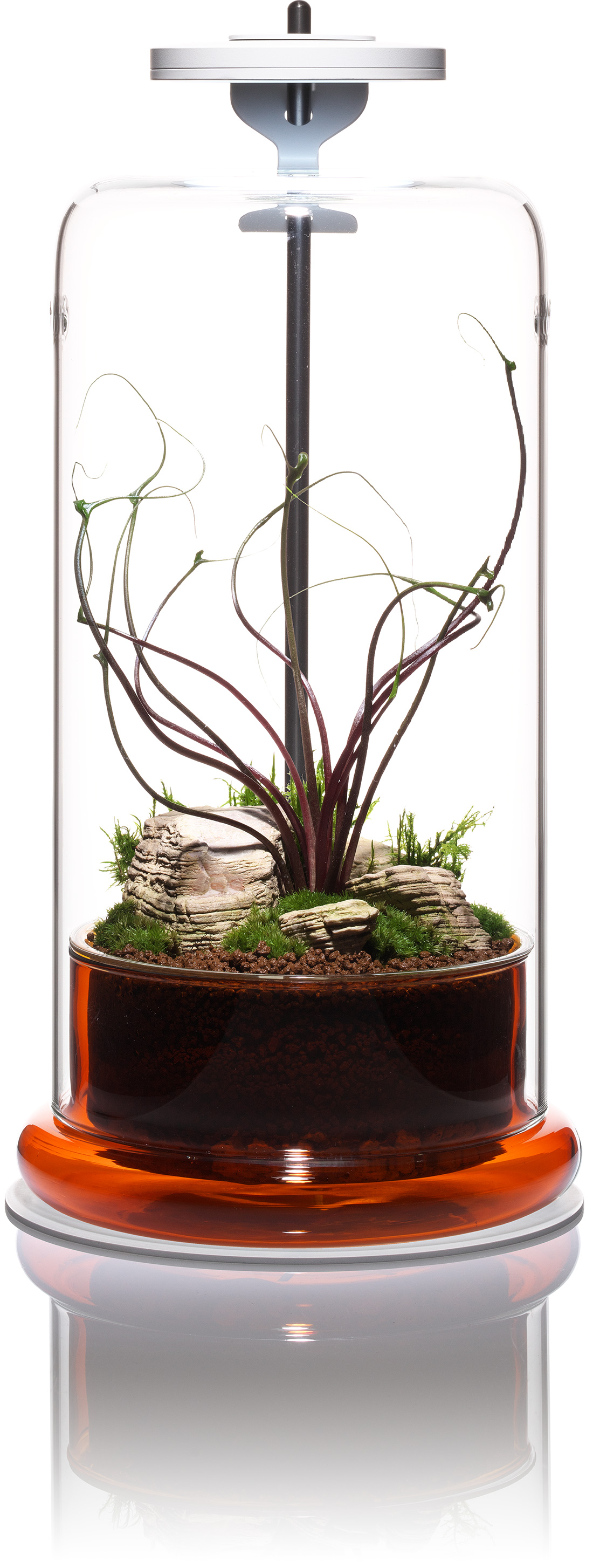 ADA CELL エメラルド 4個セット CELL | DOOA