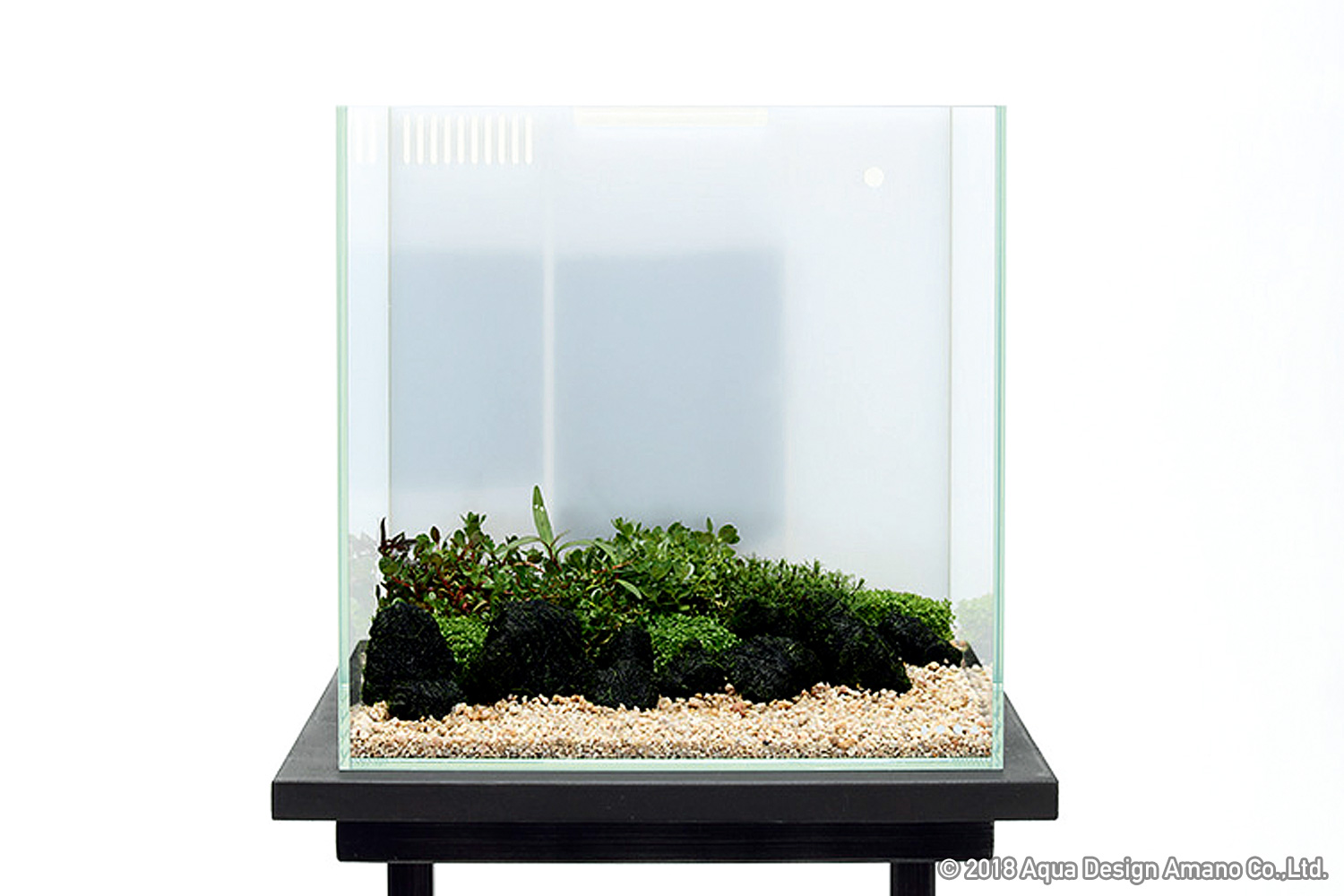 DOOAレシピ】#02「水草の安らぎと癒し」 | AQUA DESIGN AMANO