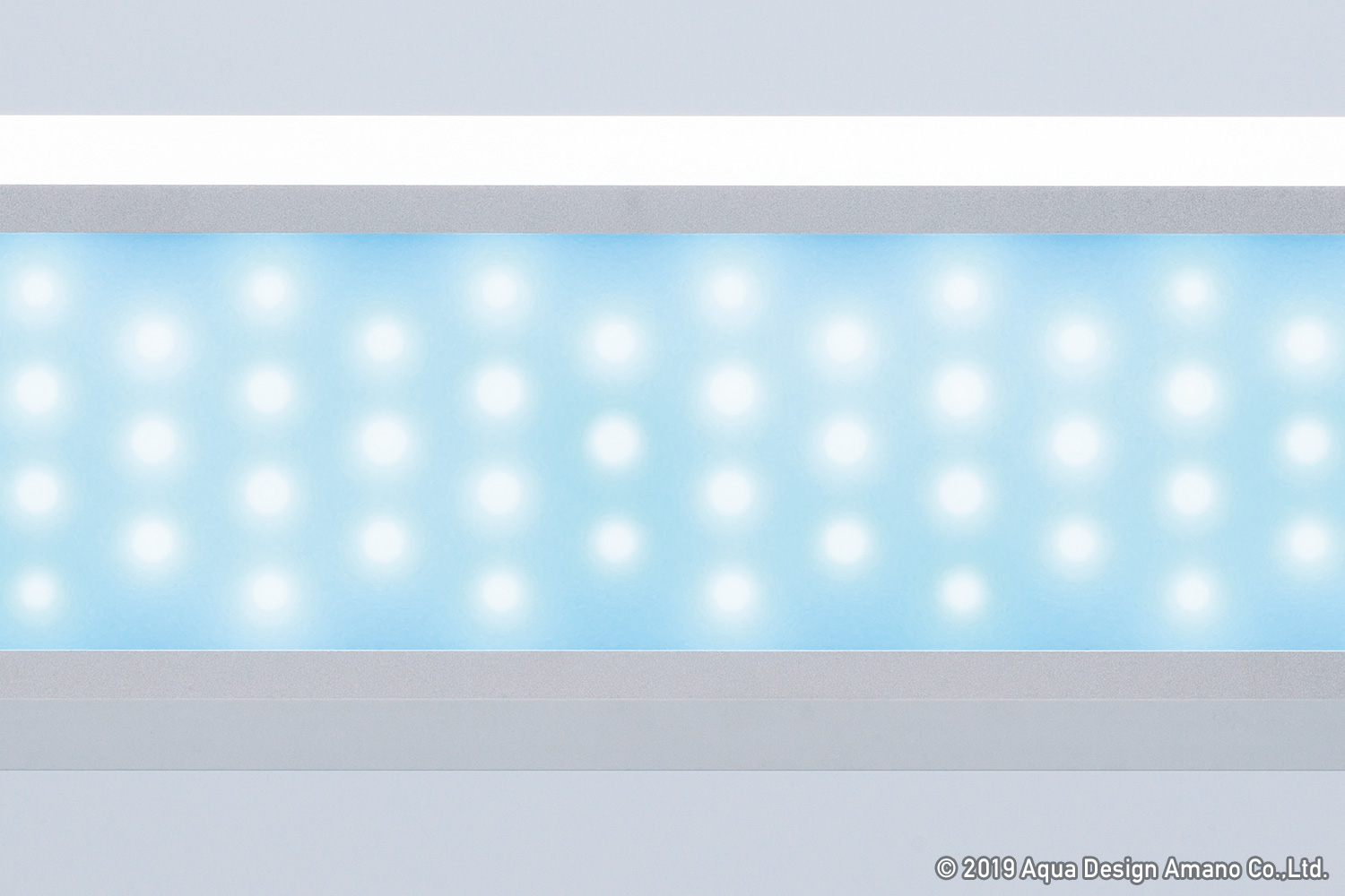 ADA NEW PRODUCTS 「ADAが提案する新しいスタイル」 | AQUA DESIGN AMANO