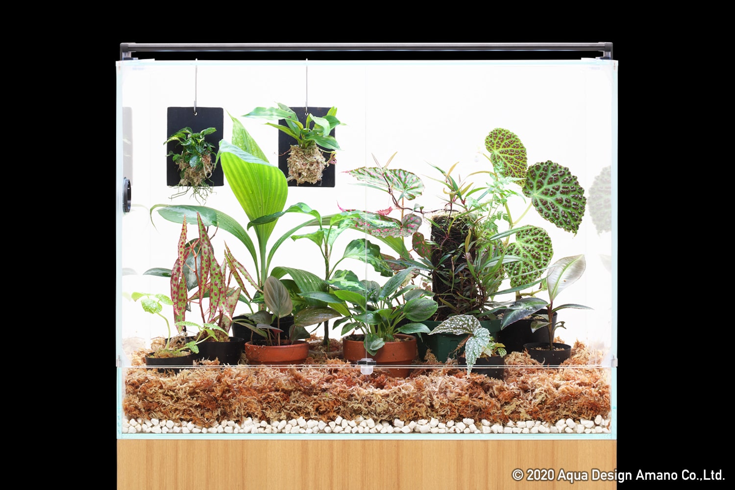 徹底解説「DOOA システムパルダ」PART 1 | AQUA DESIGN AMANO