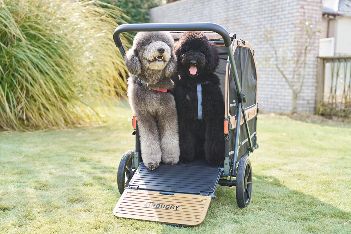 AIR-CRUISER - AIRBUGGY FOR PET | ペットカートのエアバギー