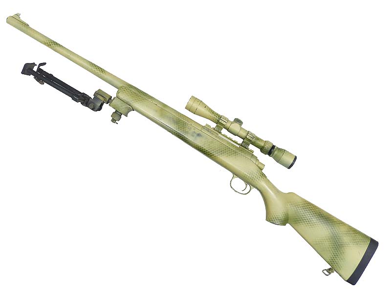 東京マルイ] VSR-10 プロスナイパー エアコッキング 塗装カスタム