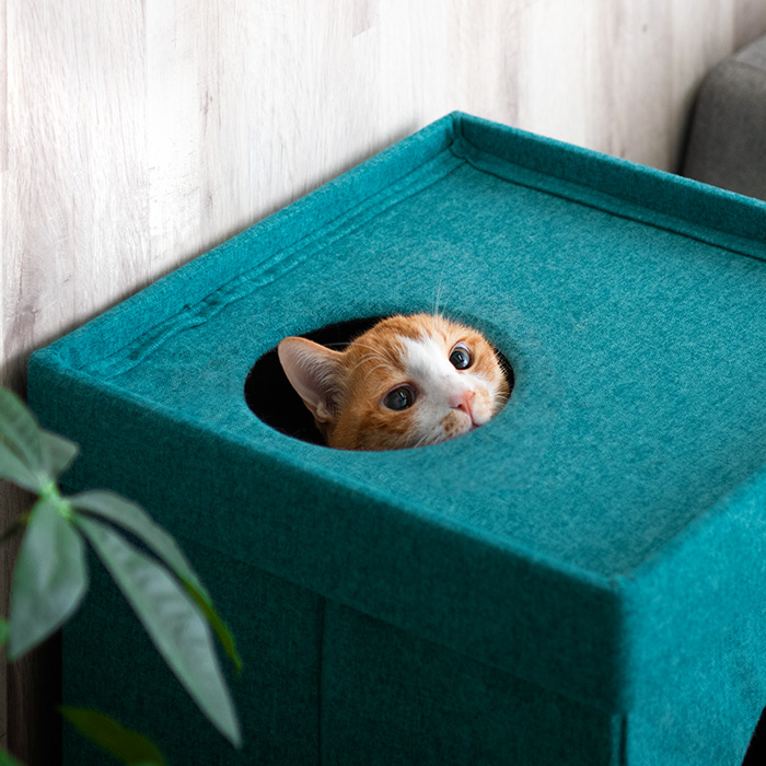 簡単組み立てキューブ型キャットハウス | 家具・インテリア通販 【公式