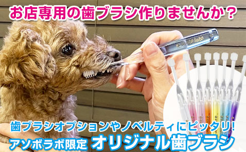 inufuwari 】ホイップアロマバス gyutto [イヌフワリ] - AsoboLabo