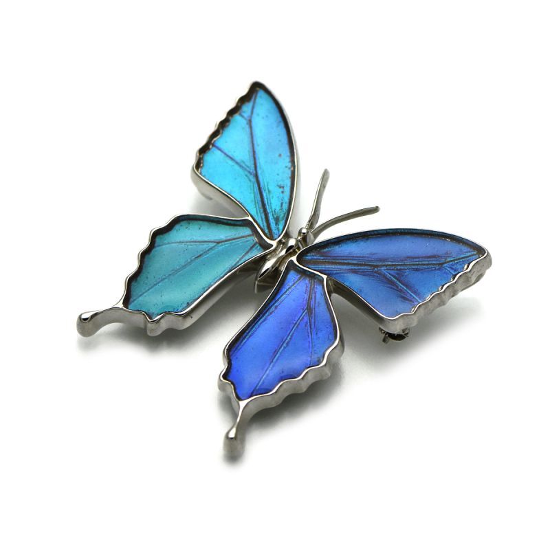 ゼフィリティスモルフォ 蝶の翅 ブローチ兼ペンダント シルバー925