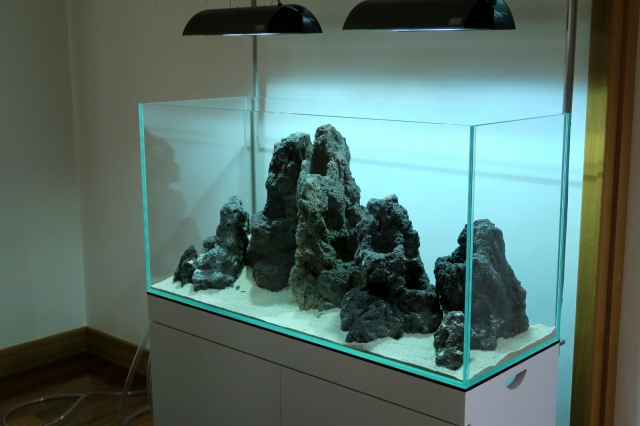 ADA 雲山石 3つ穴 Lサイズ ADA雲山石を試っす！！ |