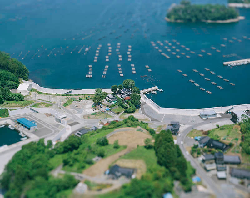 本城直季 (un) real utopia | 岩手県立美術館 | 美術館・展覧会情報