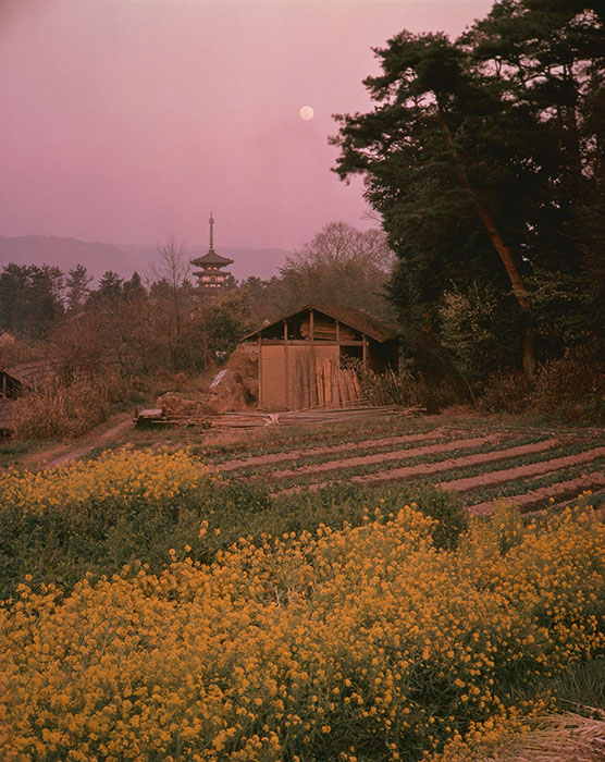 入江泰吉「1960年代の奈良」 | 入江泰吉記念奈良市写真美術館 | 美術館