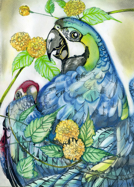 コンゴウインコ 絵画 オウム絵画赤コンゴウインコ鳥水彩アートワーク