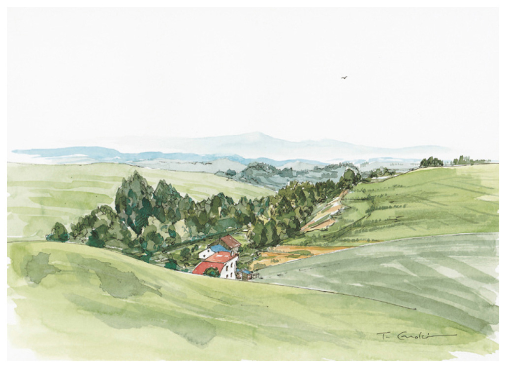 榎木孝明 絵画 (版画/ジクレー) 緩やかな丘/北海道・美瑛 3989|アート