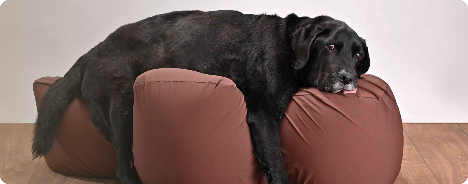 ワンエイド】リラクッション用カバー | アロン化成