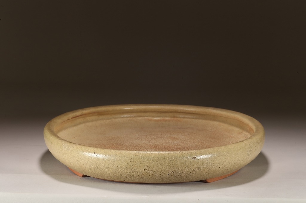 白交趾(水盤) 植木鉢 白交趾(水盤) 植木鉢 白交趾(水盤) 植木鉢 白交趾