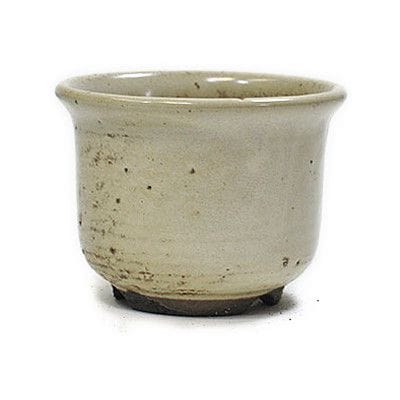 康頁求之 明治十八年 盆栽鉢 丸 康頁求之明治十八年盆栽鉢丸