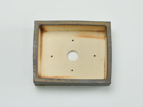 金彩 長方形【4号】【山野草鉢】鉢幅約12cm×奥行約10cm×高さ約4cmを